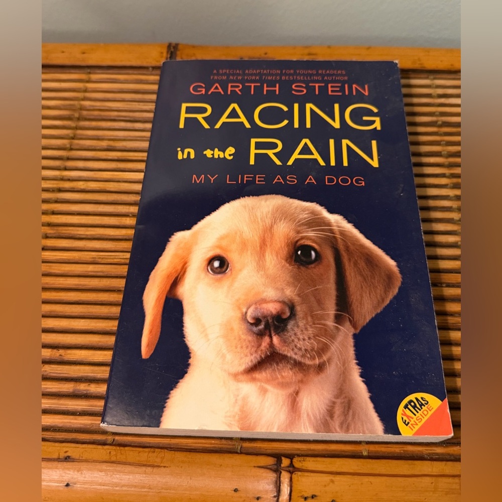 Racing in the Rain Softcover Book